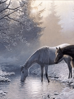 Animal Screensavers 0042